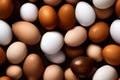 seamless full-frame high angle view background and texture of piled white and brown chicken eggs, neural network Royalty Free Stock Photo