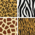 Seamless Fur Textures