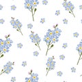 Seamless gentle background with watercolor style forget-me-not. Beautiful pattern. Summer, cute, sky blue little flowers. Royalty Free Stock Photo