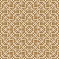Seamless geometric pattern . Brown background and white lines. Average thickness Royalty Free Stock Photo