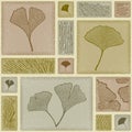 Seamless ginkgo pattern