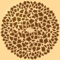 Seamless giraffe fur background Royalty Free Stock Photo