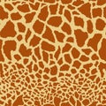 Vector Seamless giraffe skin pattern