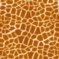 Seamless giraffe textures.