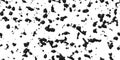 Seamless glossy black acrylic paint specks, splashes and splatter texture isolated on white background Royalty Free Stock Photo