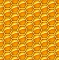 Seamless glossy orange honey comb background