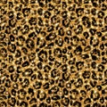 Seamless gold leopard pattern. Shining wild