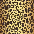Seamless gold leopard print. Vector pattern, texture, background Royalty Free Stock Photo