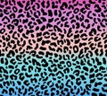 Seamless gradient leopard pattern