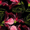 Seamless graphic design, hibiscus flowers in abstract styles on black background,vector illustration