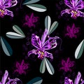 Seamless graphic, orchid flowers in abstract styles on black background,vector illustration