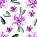 Seamless graphic, orchid flower on white background,vector illustration