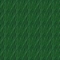 Seamless grass background Royalty Free Stock Photo