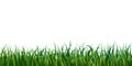 Seamless grass border isolated on white or background. illustration of fresh realistic green lawn. endless horizontal