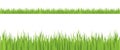 Seamless grass illustration Royalty Free Stock Photo