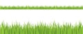 Seamless grass illustration