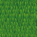 Seamless grass pattern, lawn nature illustration for wallpaper Royalty Free Stock Photo