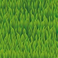 Seamless grass pattern, lawn nature illustration for wallpaper Royalty Free Stock Photo