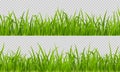 Seamless grass, realistic lawn horizontal pattern Royalty Free Stock Photo