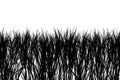 Seamless Grass Silhouette Panorama Royalty Free Stock Photo