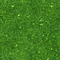 Seamless grass texture