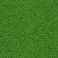 Seamless grass texture Royalty Free Stock Photo