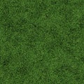 Seamless grass texture