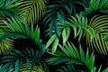 Seamless greeen hand drawn tropical vector pattern with palm leaves on dark background. Royalty Free Stock Photo