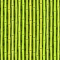 Seamless green bamboo texture