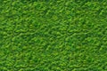 Seamless green grass texture pattern Royalty Free Stock Photo