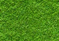 Seamless green  grass texture pattern Royalty Free Stock Photo