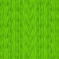 Seamless green grass texture. Tileable early spring green grass background.