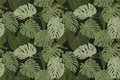 Seamless green, khaki and gold monstera pattern. Jungle print design for fabric, wallpaper.