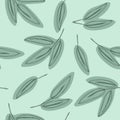 Seamless green leaf pattern. Eucalyptus leaves background. Royalty Free Stock Photo