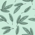 Seamless green leaf pattern. Eucalyptus leaves background. Royalty Free Stock Photo