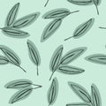 Seamless green leaf pattern. Eucalyptus leaves background.