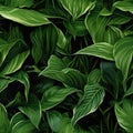 Seamless. Green leaves of plants Royalty Free Stock Photo