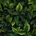 Seamless. Green leaves of plants Royalty Free Stock Photo