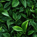 Seamless. Green leaves of plants Royalty Free Stock Photo