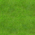 Seamless Green Lush Grass Texture