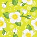 Seamless green pattern with blooming jasmine