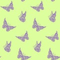 Seamless green pattern with violet flying butterflies Royalty Free Stock Photo