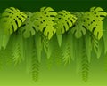Hot Summer Tropical Leaves. Paper cut style. Monstera and palm leaf. Tropic border. Vector illustration Royalty Free Stock Photo