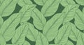Seamless Green Tropical Leaf Pattern Background With Hand-Drawn Botanical Foliage Royalty Free Stock Photo