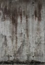 Seamless grey bare concrete wall texture. Royalty Free Stock Photo