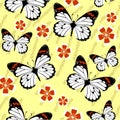 Seamless grunge butterfly texture 528