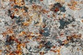 Seamless grunge and rusty textures and backgrounds Royalty Free Stock Photo