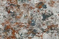 Seamless grunge and rusty textures and backgrounds Royalty Free Stock Photo