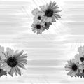 Seamless grunge striped  pattern with sunflowers in black and white Royalty Free Stock Photo