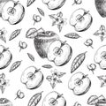 Seamless of hand drawn apple. Vintage sketch style illustration. Organic eco food. Whole , sliced pieces half,leaves and Royalty Free Stock Photo